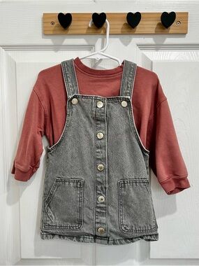 Zara Baby Girl Cropped Sweatshirt Dusty Pink and Gray Denim Overall Skirt 18-24